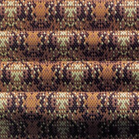 Трансферно фолио "Кралски питон"